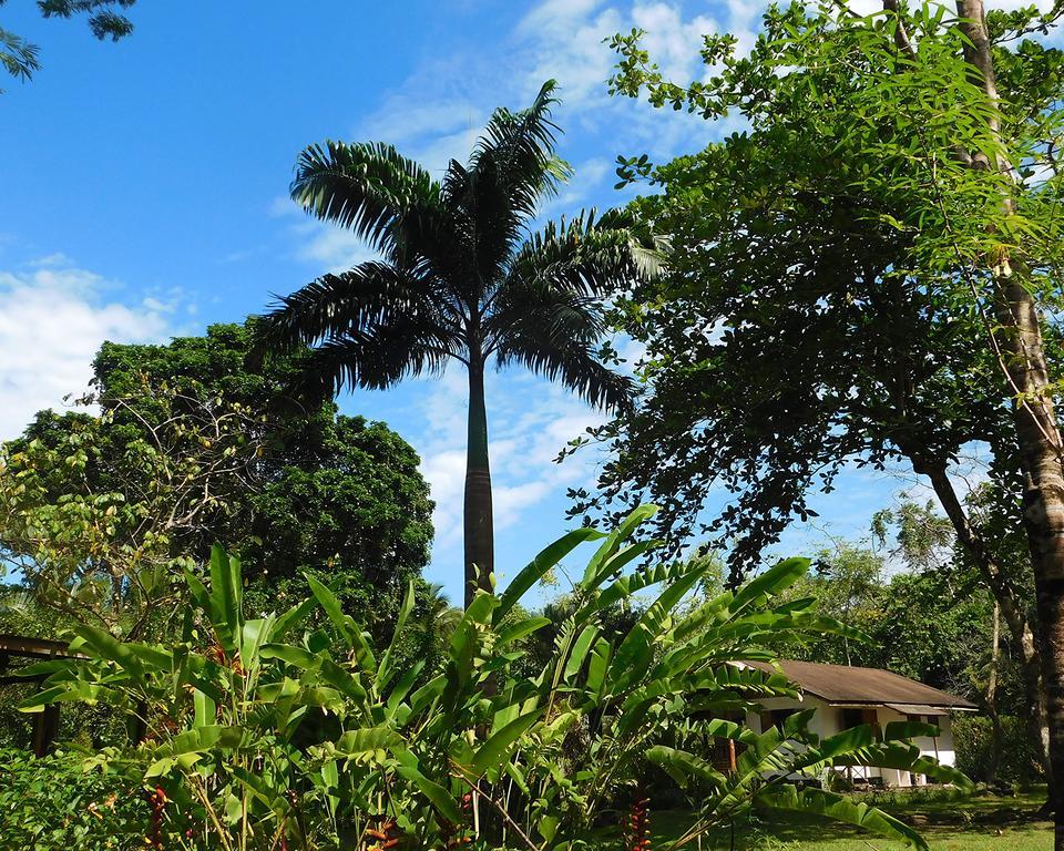 Green Corner Cahuita Exterior photo